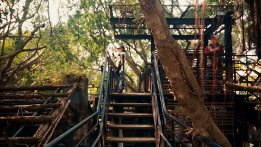 Inside Anping Tree House with massive banyan tree growing through walls and ceiling