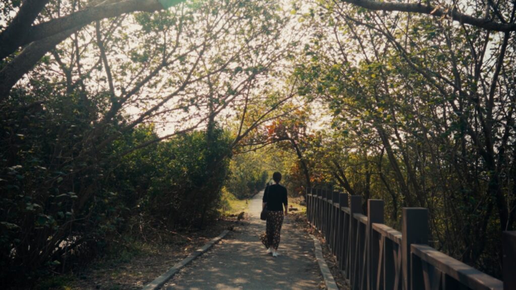 Peaceful walk at Hubin Waterfowl Park in Anping at sunset
