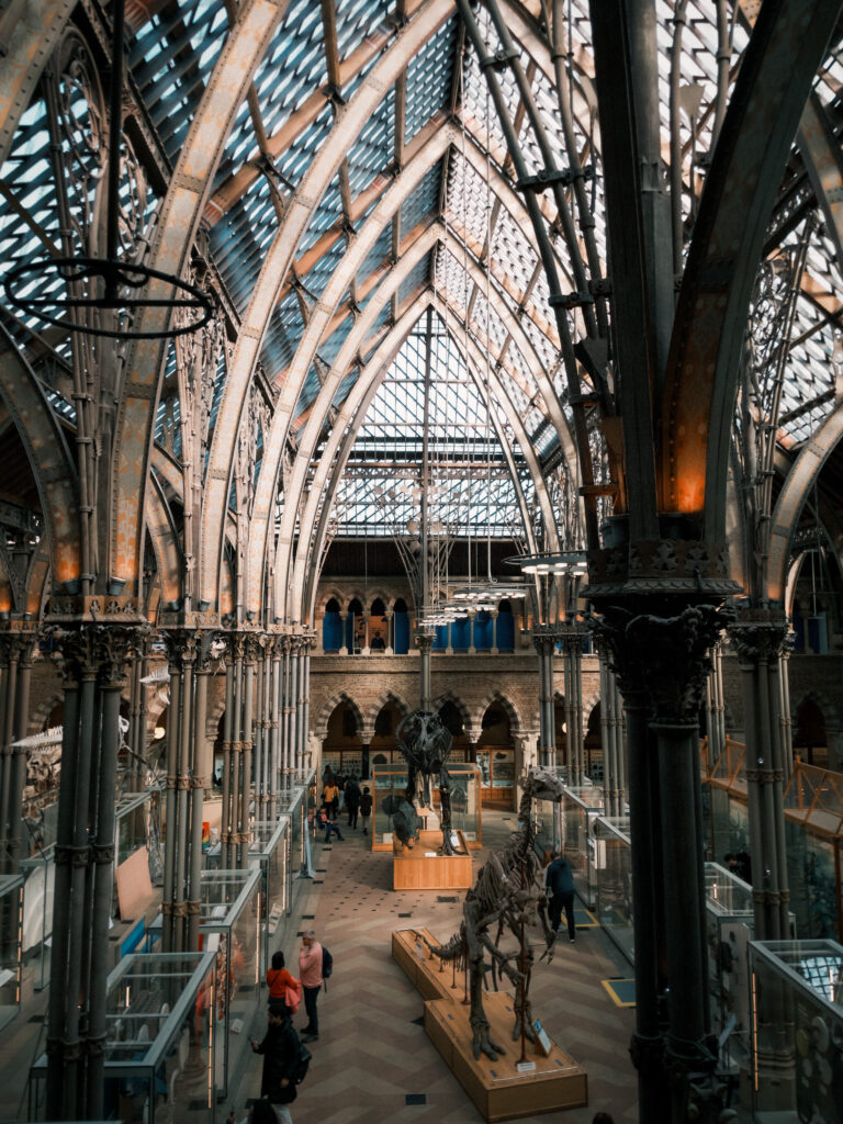 Oxford University Museum of Natural History